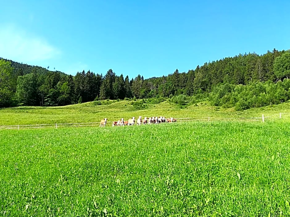 Bauernhofpension Moar in Reith