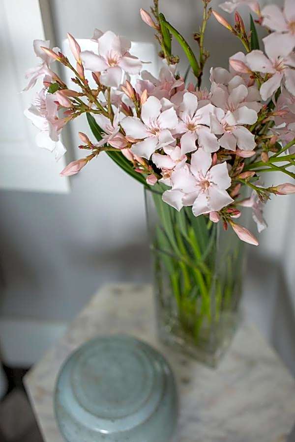 Villa Maria Boutique Hotel