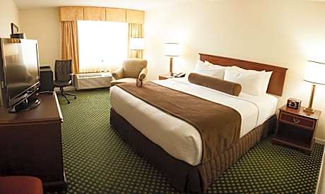 Standard King Room