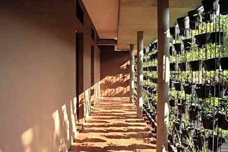 Rumah Turi Green Boutique Hotel