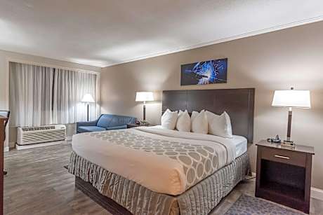 King Room with Sofa Bed and Pool View