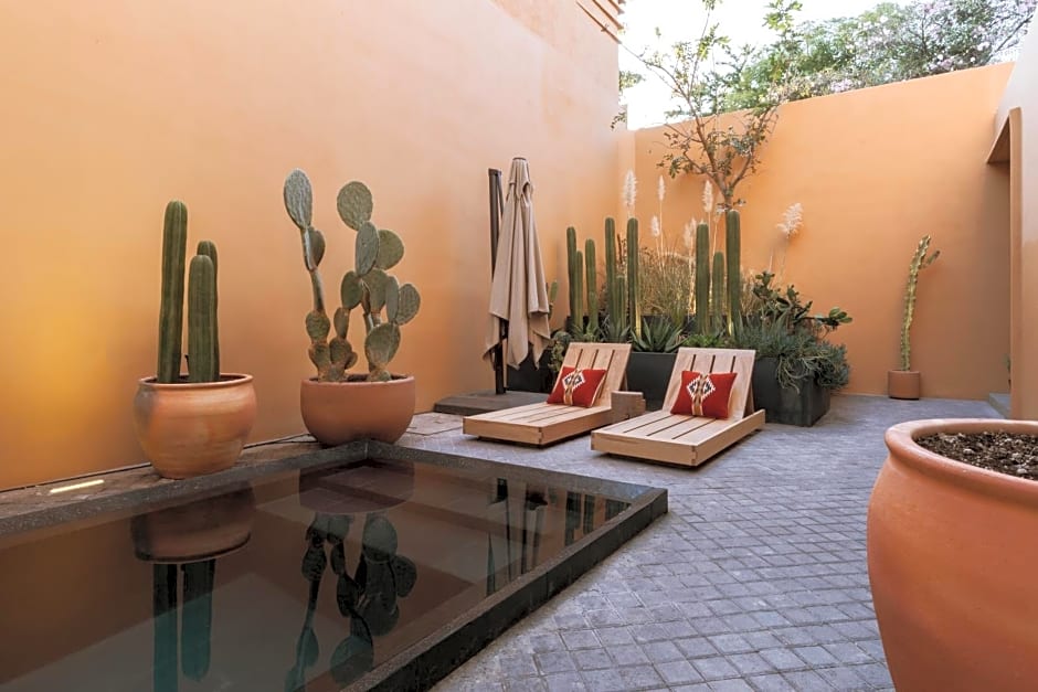 Macondo Arte Oaxaca