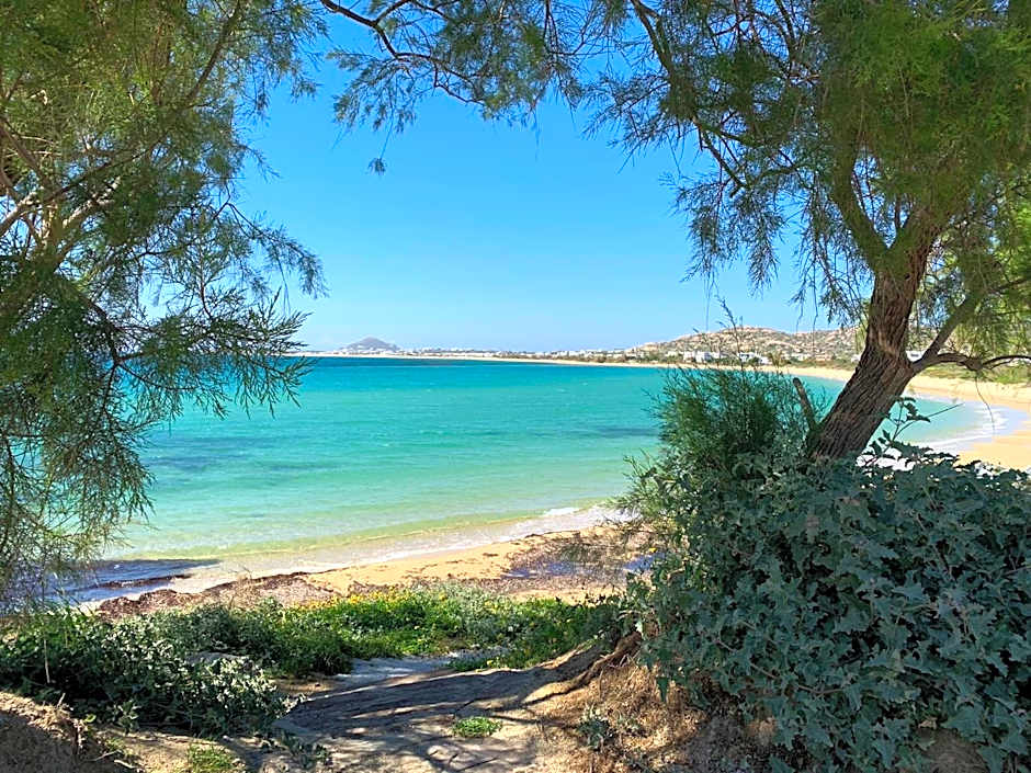Villa Paradise in Naxos