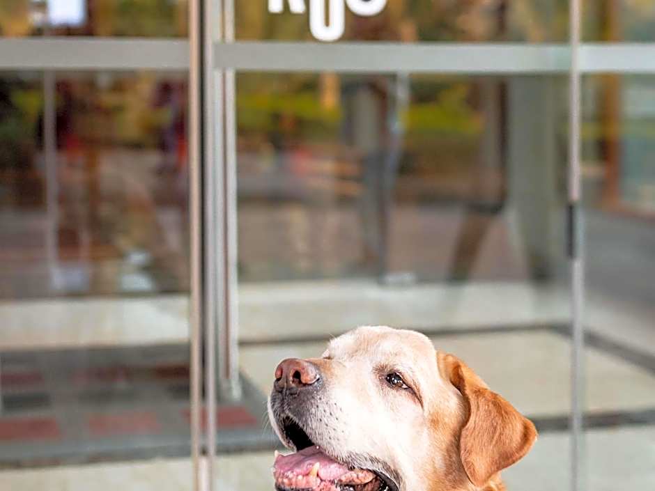 Hôtel Ibis Cognac Centre