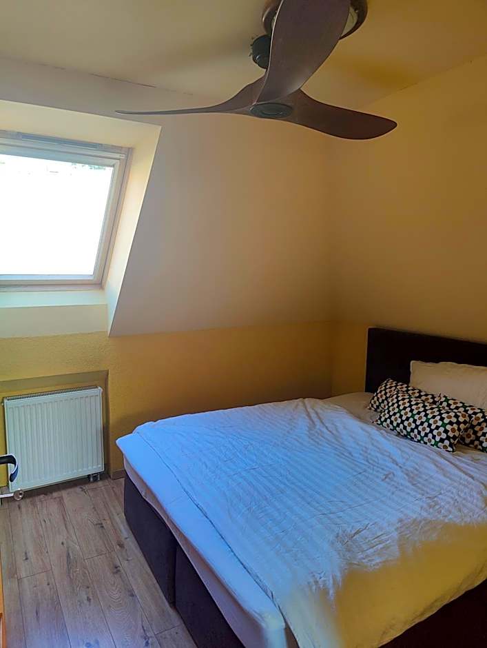 Parrot district apartments