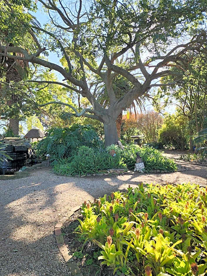 Homestead Bed and Breakfast - Travel Addo Group