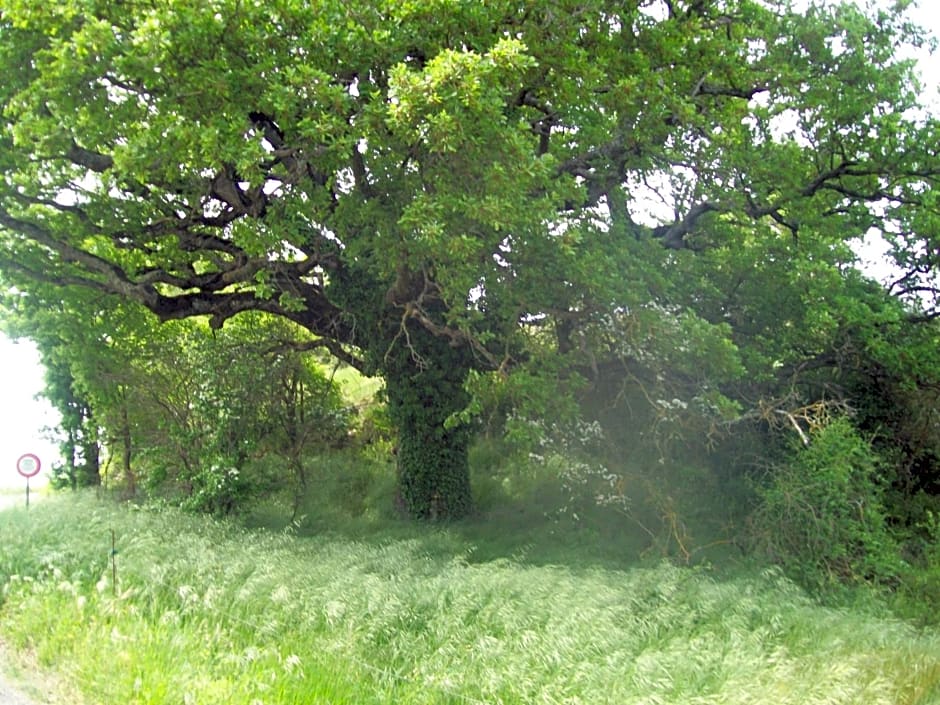 Chambre d'hôtes La Margotte
