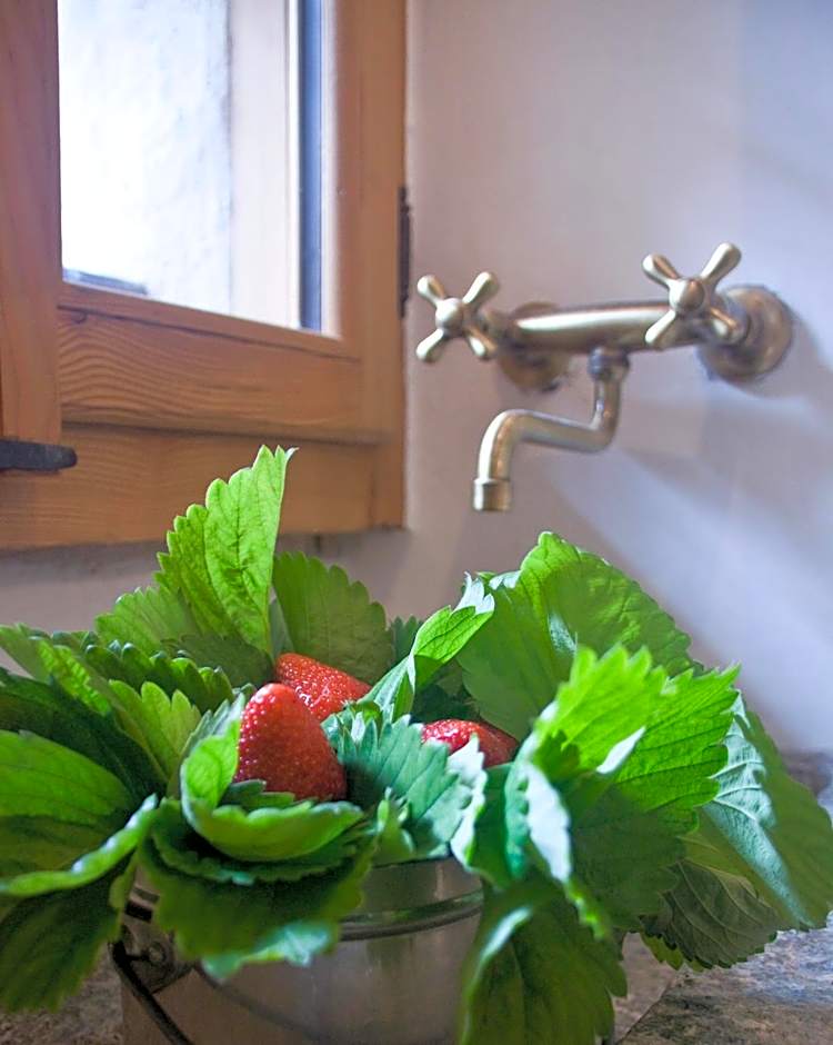 Contrada Beltramelli