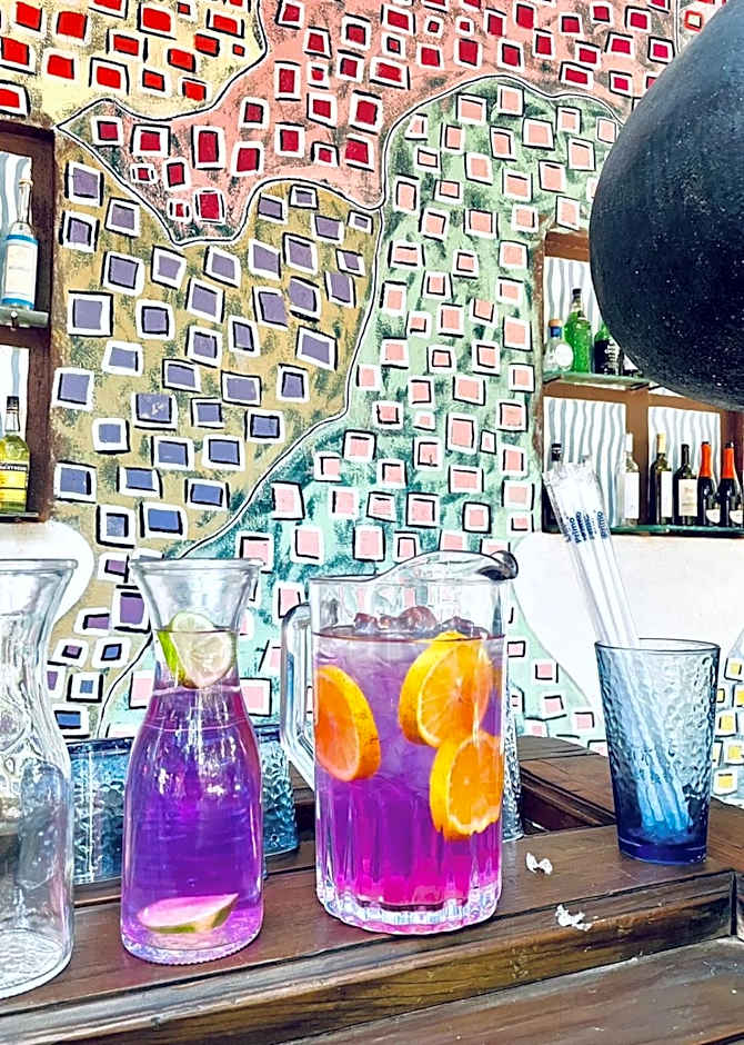 Hotel La Casa de los Árboles Immersive Experience