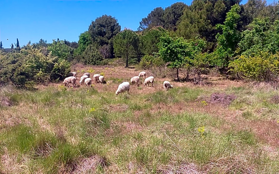 Une Chambre en Luberon