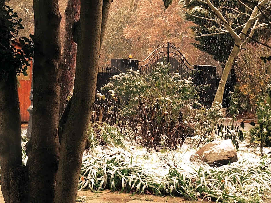 Villa La Clef Des Champs