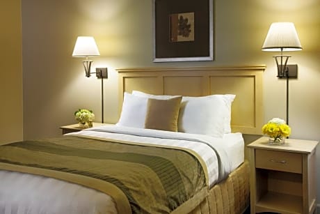 Studio Queen Size Bed