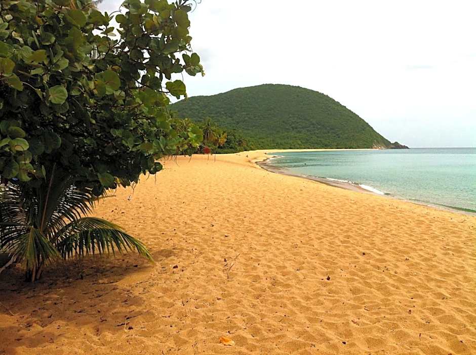 Residence Habitation Grande Anse