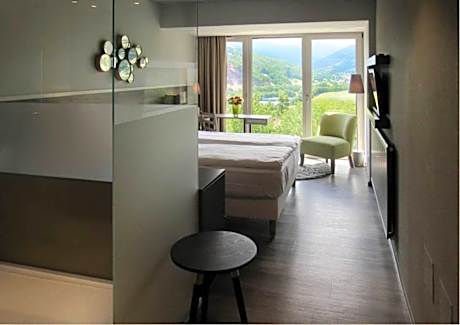 Superior Double Room with Shower