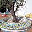 Hotel Nuraghe Arvu