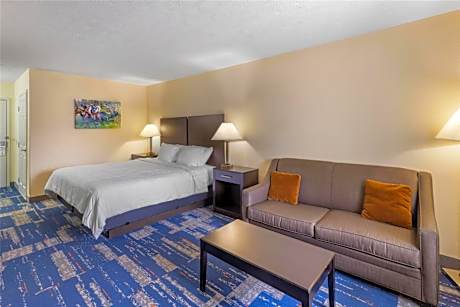 King Room with Roll-In Shower - Disability Access