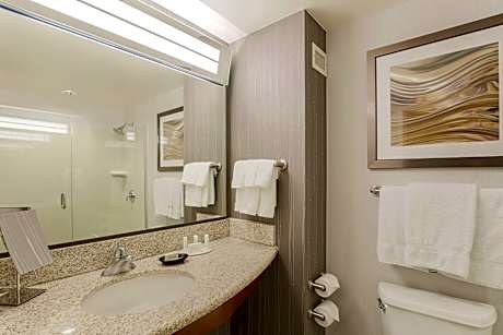 Room, 1 King Bed with Sofa bed (Mobility Accessible, Roll-in Shower)