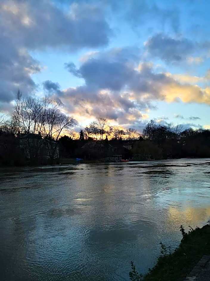 LES PINGOUINS DE LA MARNE