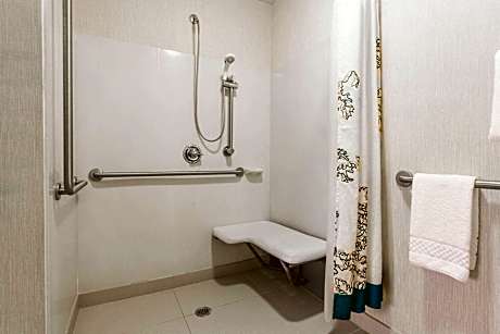 Studio, 1 King Bed with Sofa bed (Mobility/Hearing Access, Roll-In Shwr)