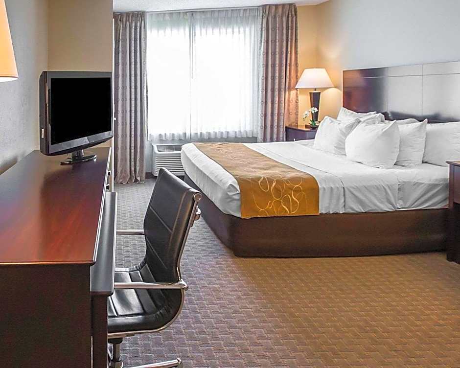 Comfort Suites University Area