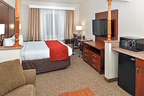 Suite, 1 King Bed with Sofabed