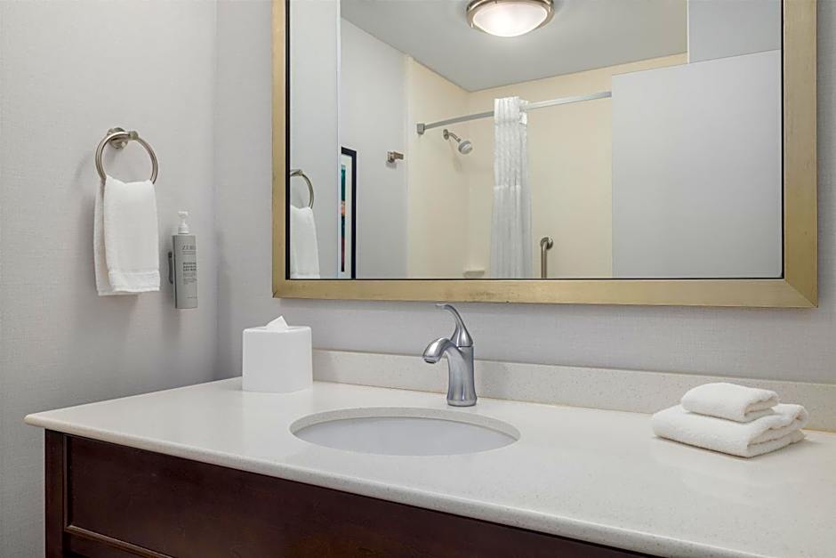 Hampton Inn & Suites Roanoke Downtown