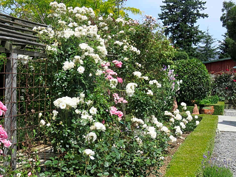 Marchmont Gardens