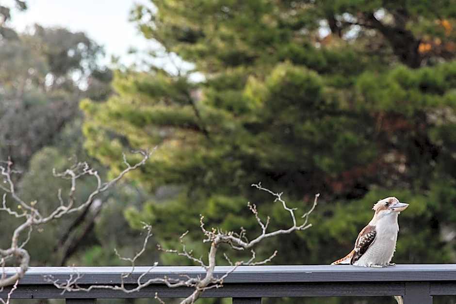 Shizuka Ryokan Japanese Country Spa & Wellness Retreat