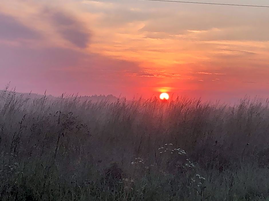 Letnisko SYMSAR 6, Drewniany domek letniskowy z ogrodem