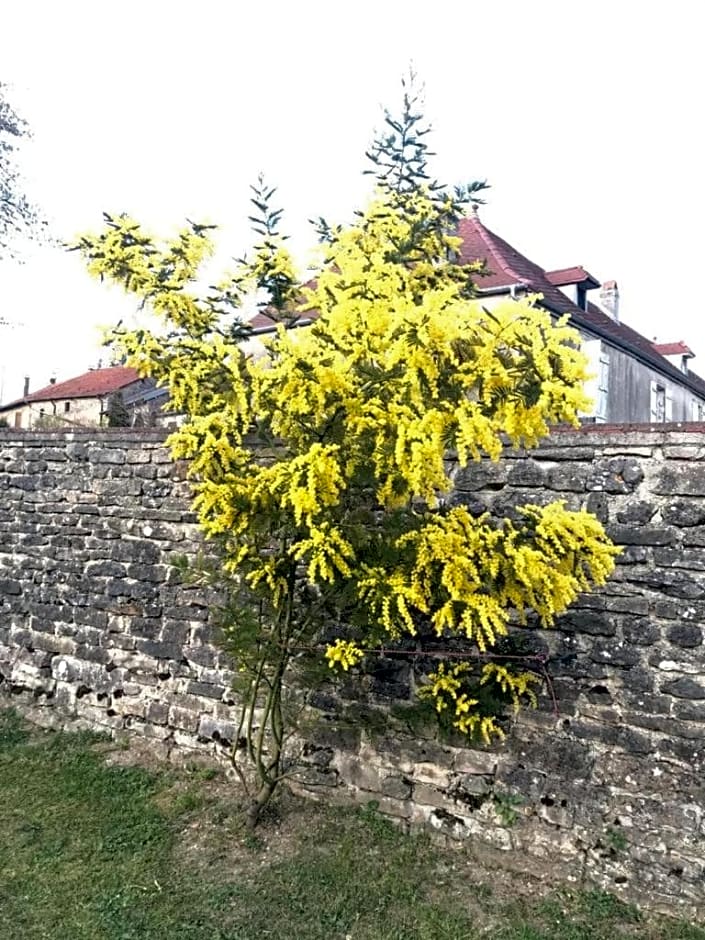 Chez Zoiseau et Zoiseautte