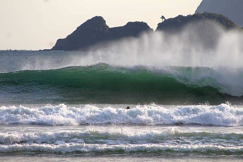 Jungle House - surf & stay