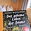 Wald ist Zukunft