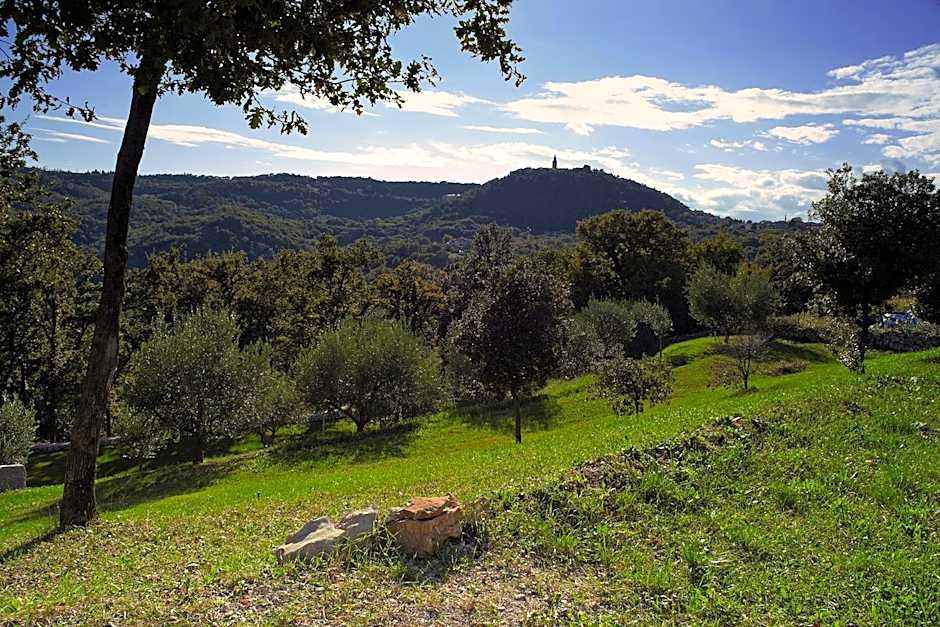 Apartments Villa Venera