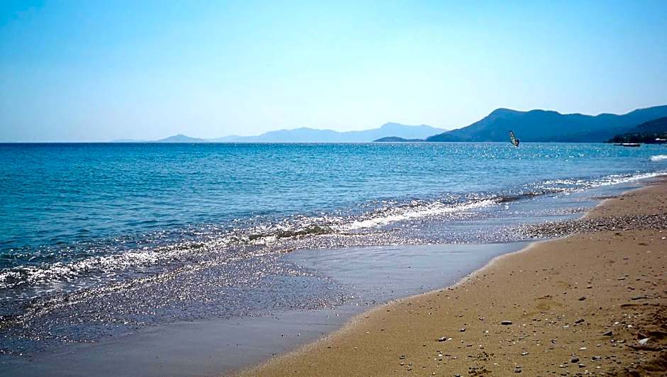 Aphrodite Samos Superior Studios and Apartments