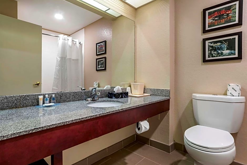 Comfort Inn Birmingham - Irondale