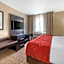 Comfort Suites Highlands Ranch Denver Tech Center Area