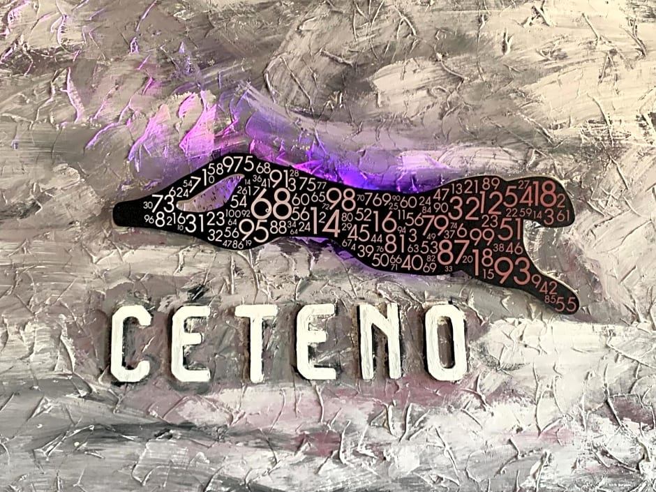 Hotel Ceteno