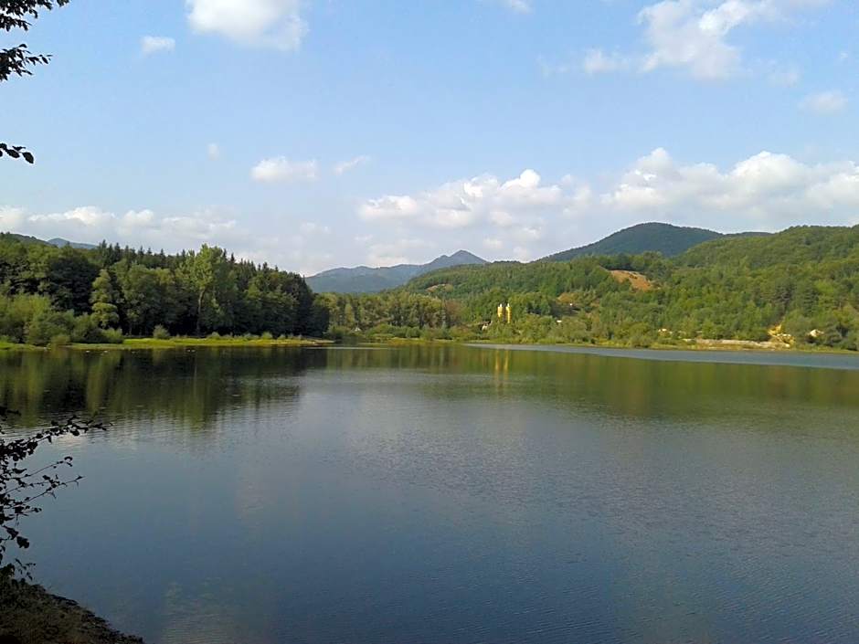 Complex Turistic Caprioara