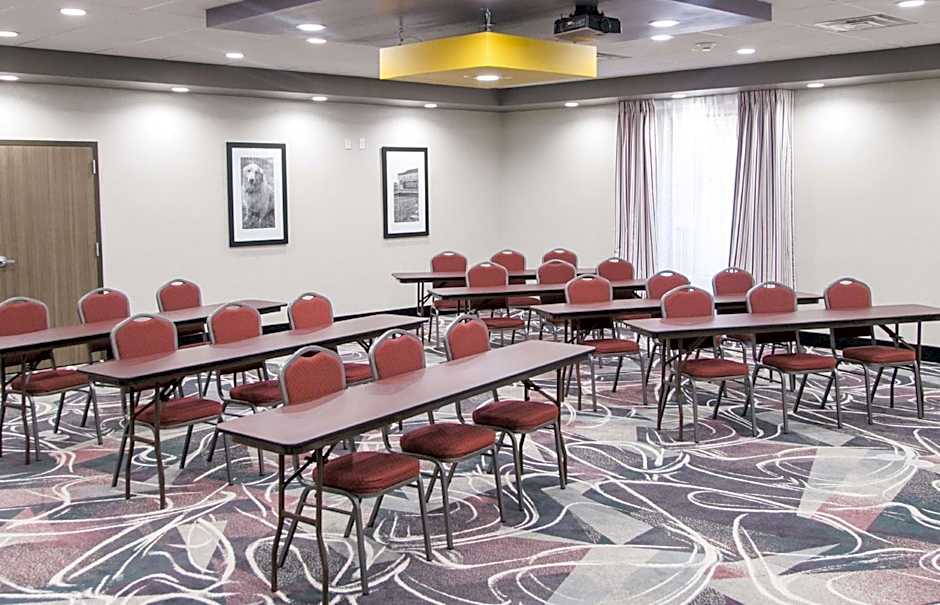 Hampton Inn By Hilton & Suites Amarillo-East, TX