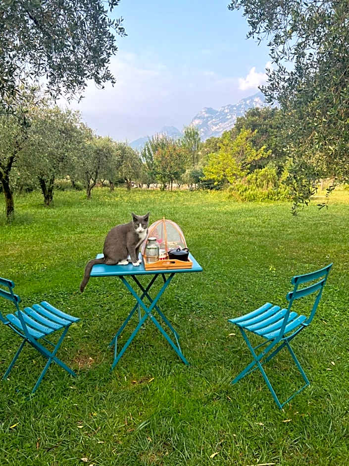 Da La Babi B&B