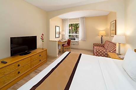 1 King Suite Accessible Non-Smoking