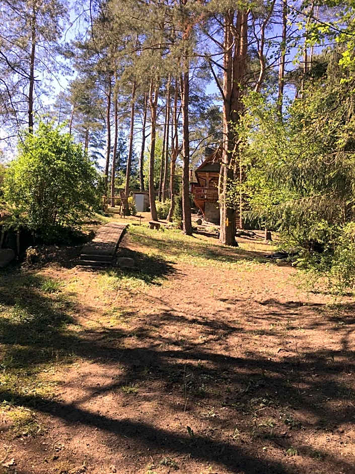 Domek z bali Tryszczyn nad Brdą