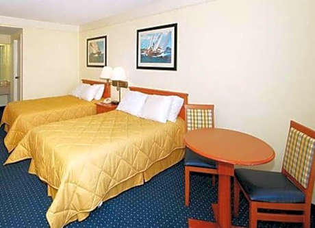 Standard Double Room