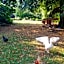 Château Lambert Moulinsart Hotel, shuttle airport, long term parking, snooker, large terrasse, dinner, breakfast