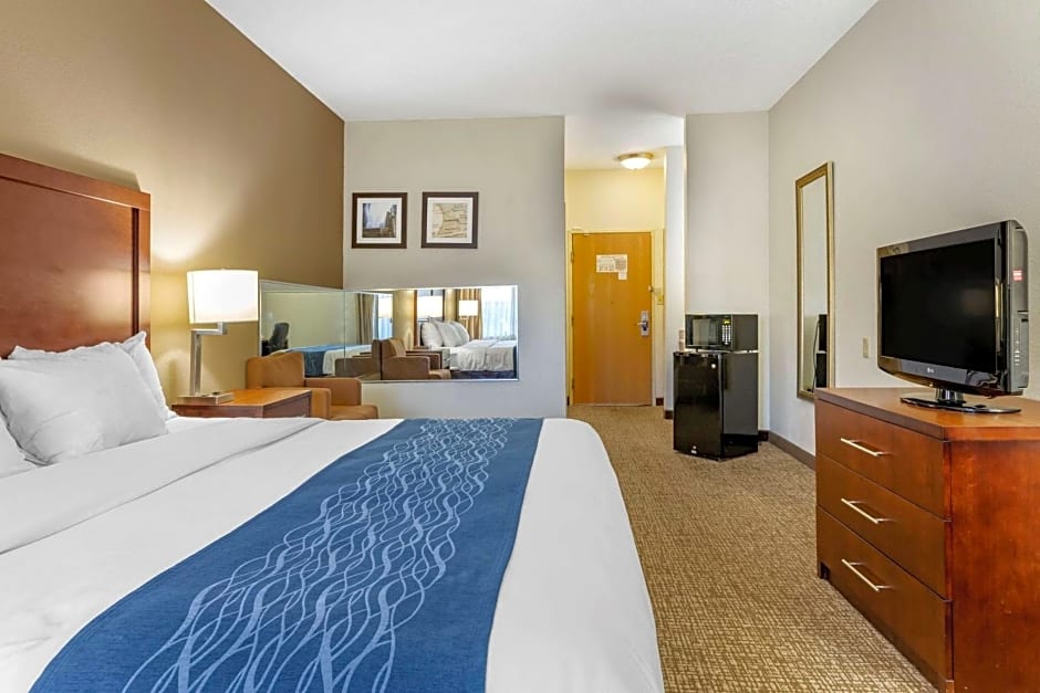 Comfort Inn Downtown - University Area