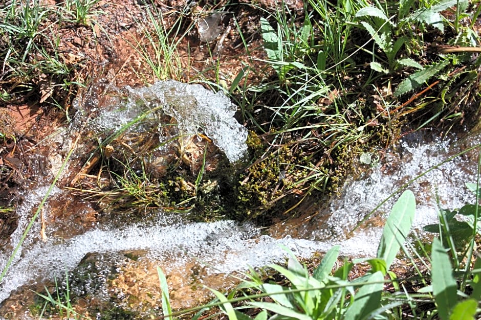 Campillo Apartamentos Rurales