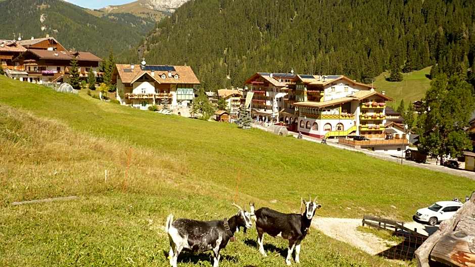Hotel Alba Wellness & Spa