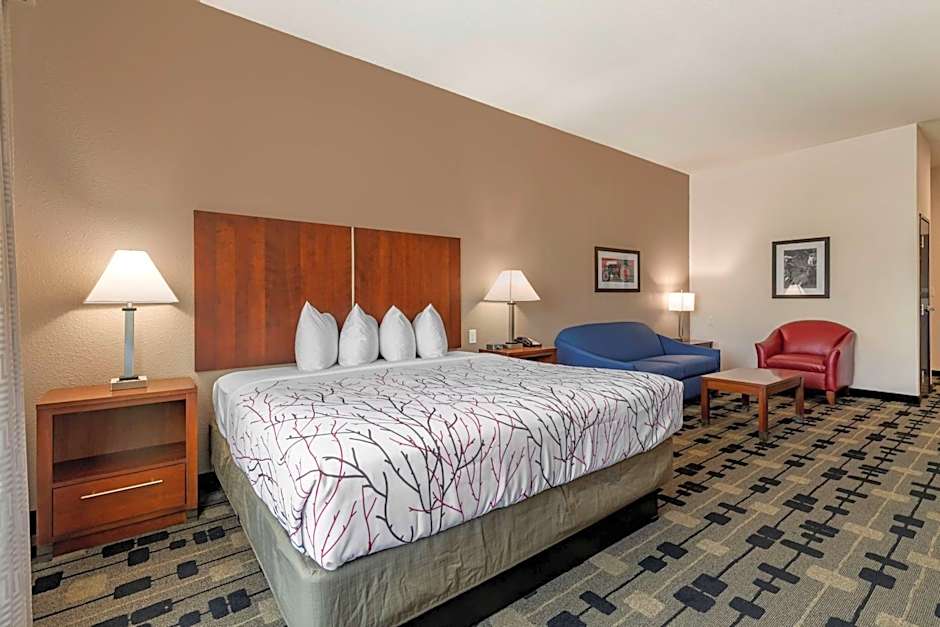 Best Western Plus Big Lake Inn