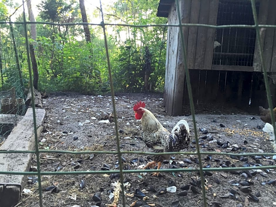 La maison de caroline