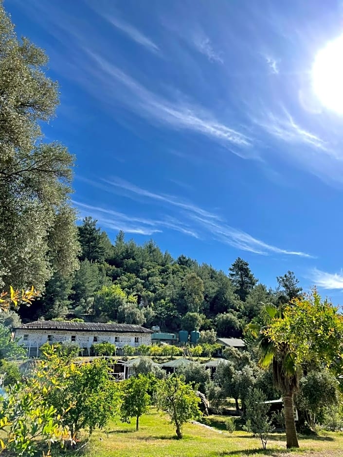 Olympos Angels Garden